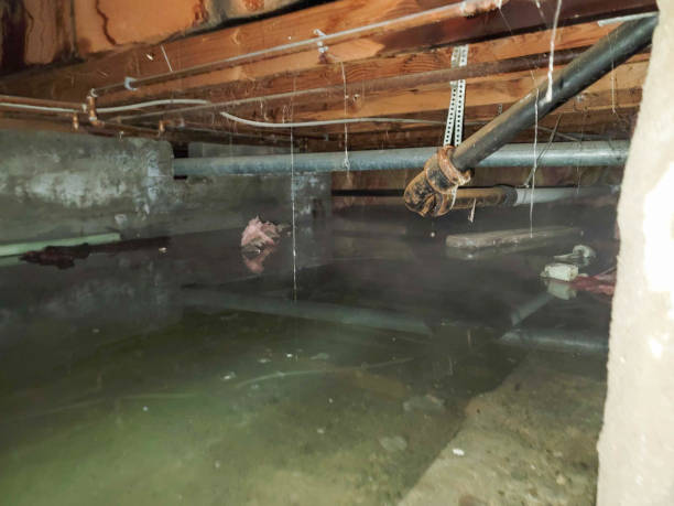 Best Flood damage cleanup  in Lithopolis, OH