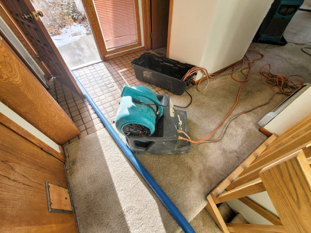 Best Sewage cleanup and water damage restoration  in Lithopolis, OH