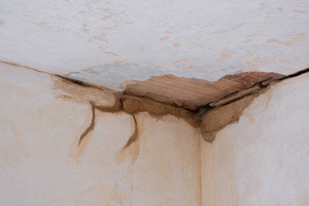 Best Flooded house restoration  in Lithopolis, OH