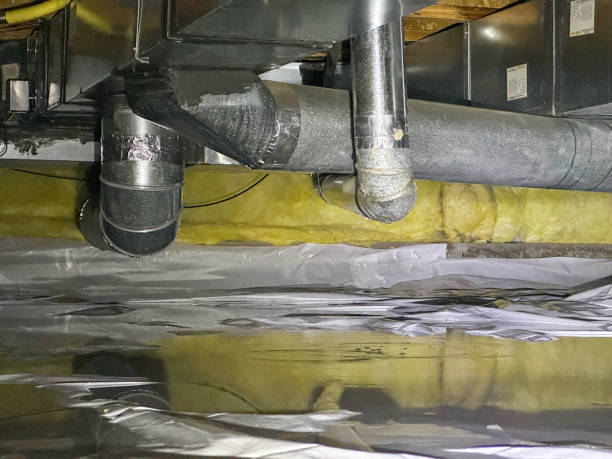 Best Water damage contractors near me  in Lithopolis, OH