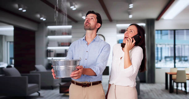 Best Water damage restoration near me  in Lithopolis, OH